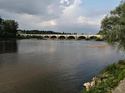 Du Cygne Tours - 16