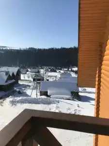 Николь - 33