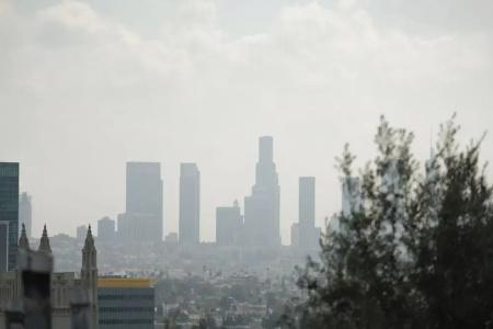 Hollywood Hills - 91