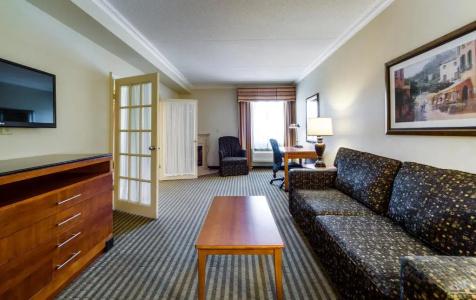 Monte Carlo Inn - 55