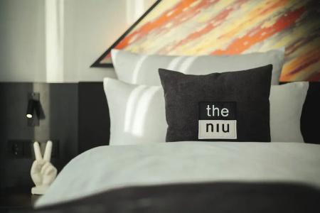 the niu Flash - 45