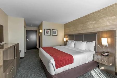 Comfort Inn & Suites Airport North - 17