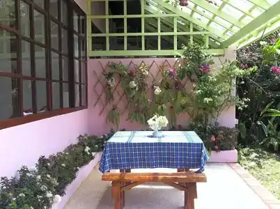 Ekman Garden - 75