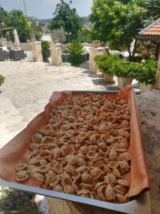 Masseria Torricella - 19