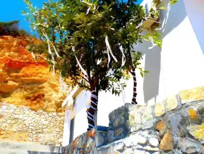 Summer Dream - 8