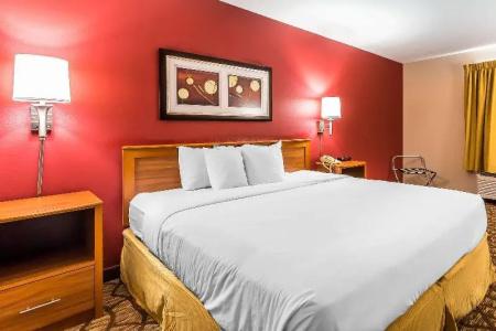 Quality Inn & Suites Chesterfield Village - 29