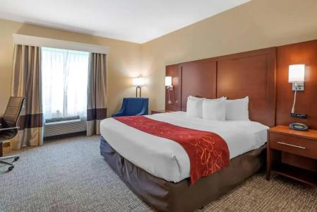 Comfort Suites North - 58