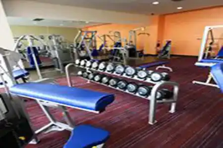 Dynasty Grande - 21