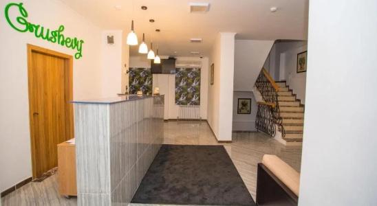 Grushevy Hospitality Boutique - 2