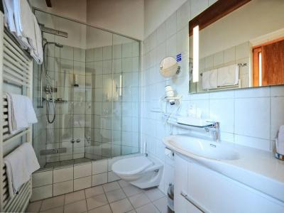 Country WellnessBündnerhof - 8