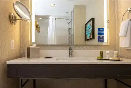 Hilton Austin Airport - 7