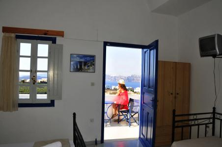 Thira's Dolphin - 18