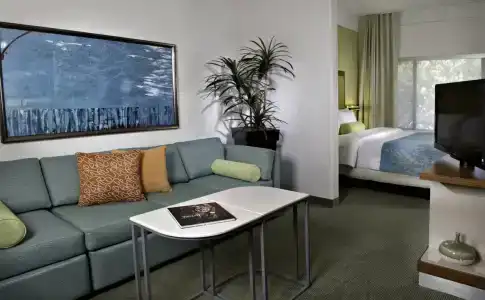 SpringHill Suites North - 3