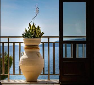 Golden View - 31