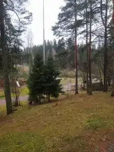Динамо - 4
