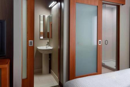 SpringHill Suites by Marriott Atlanta Airport Gateway - 37