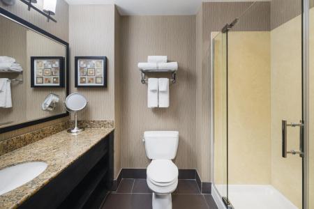 Best Western Premier Freeport Inn Airport - 159