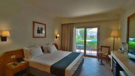 Camel Dive Club & - Boutique - 6