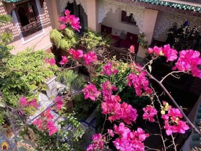 Riad Toyour- Riad of birds - 28