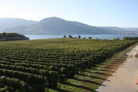 D'Angelo Winery Farm House - 6