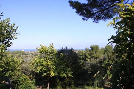 Residence Gli Stingi - 81
