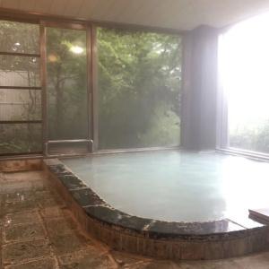 The Ritz-Carlton, Nikko - 30