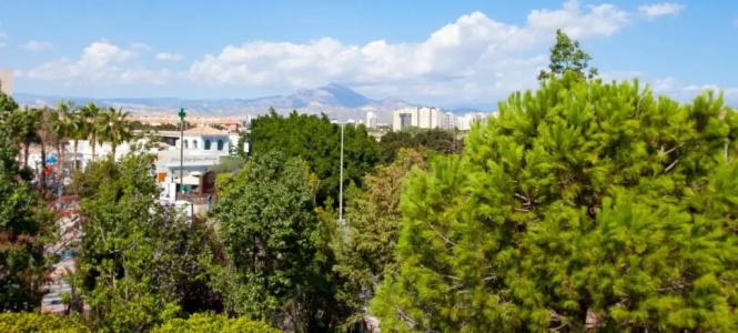 Alicante Golf - 42