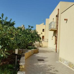 Al Paradise - 35