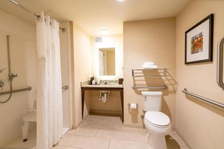 Holiday Inn Murfreesboro/Nashville, An Ihg - 9