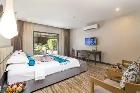 Damrei Angkor - 129