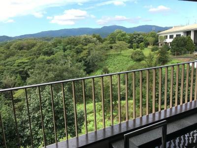 Izu Marriott Shuzenji - 27