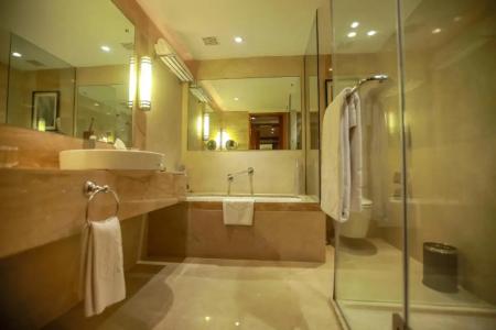 Taj Coromandel - 8