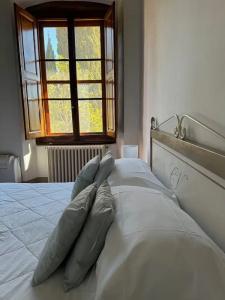 Castello Vicchiomaggio - 63