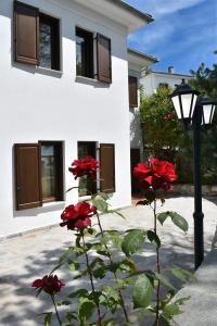Pelion Resort - 56