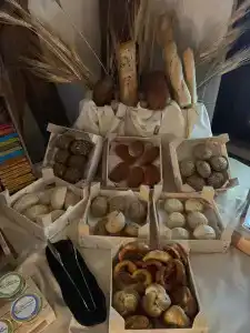 Querceto Wellness & Spa - 4