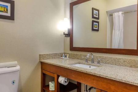 Comfort Suites Walnut Creek - 50