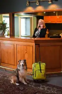 South Thompson Inn & Conference Centre - 21