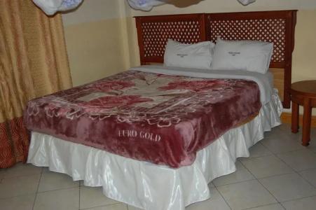 Arusha Center Inn Tourist - 3