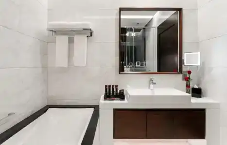 Renaissance Business Bay - 25