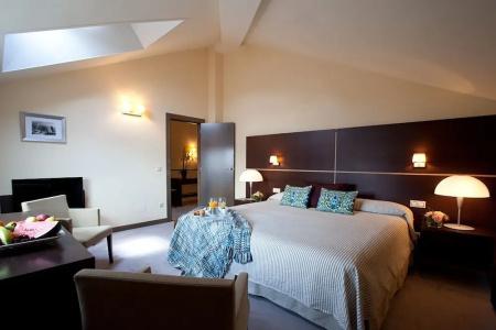 Palacio de los Blasones Suites - 5