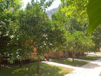 Olympos Camlık Pension - 11