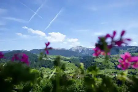 Allgäu Sonne - 17