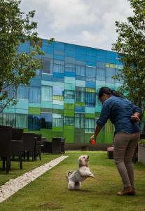 Vivanta Bengaluru, Whitefield - 15