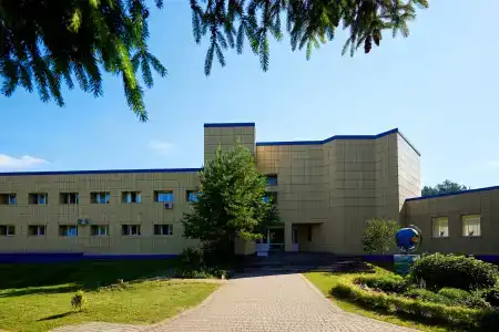 Сосновый бор - 0