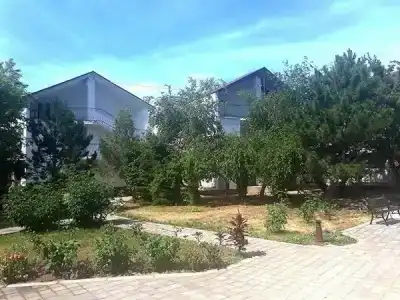 Фея 1 - 7