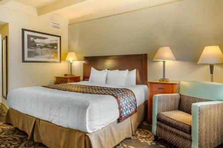 Quality Inn Denver Downtown - 29