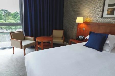 Crowne Plaza Lyon Parc de la Tête d'Or - 136
