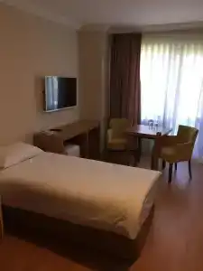 Emsa Palace - 32