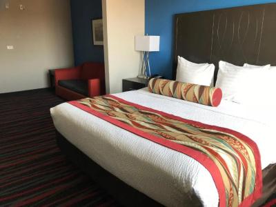 Best Western Plus Tech Medical Center Inn - 63