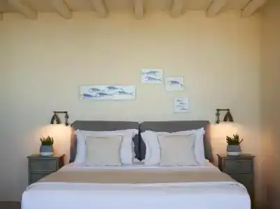 Aeolis Tinos Suites - 134